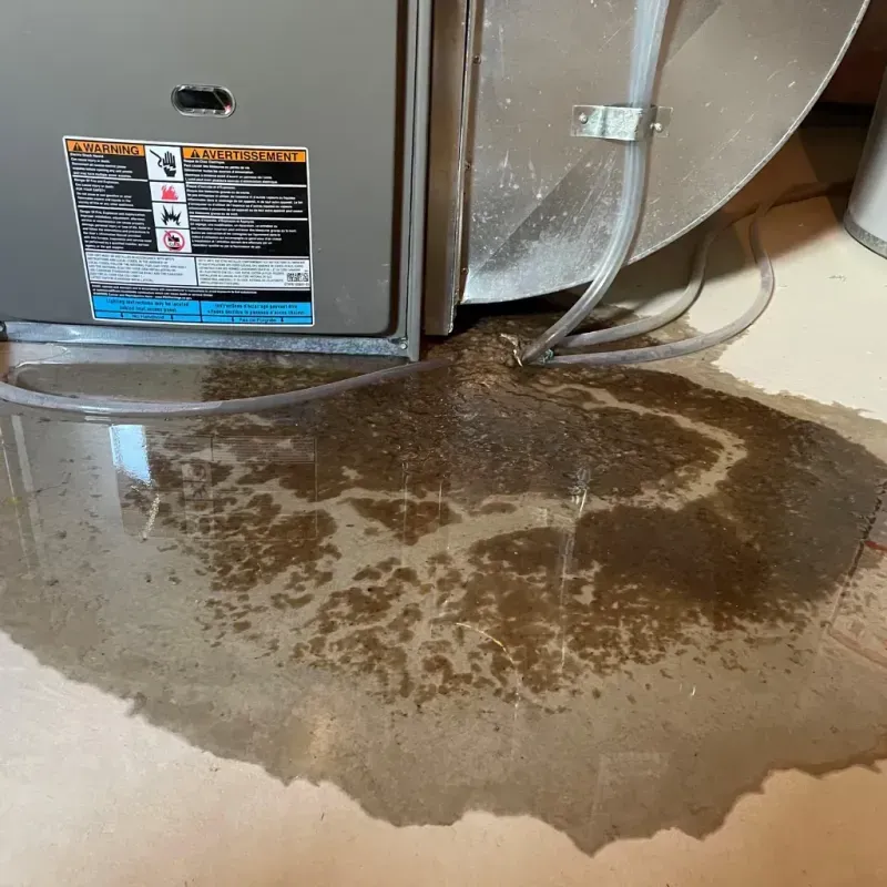 Appliance Leak Cleanup in Emmaus, PA